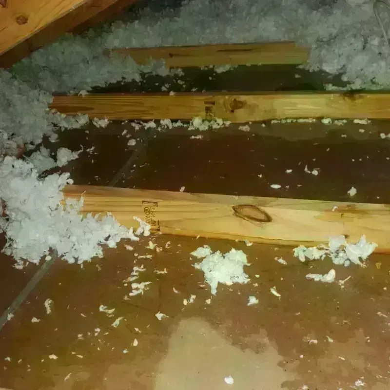 Attic Water Damage in Houston, AK