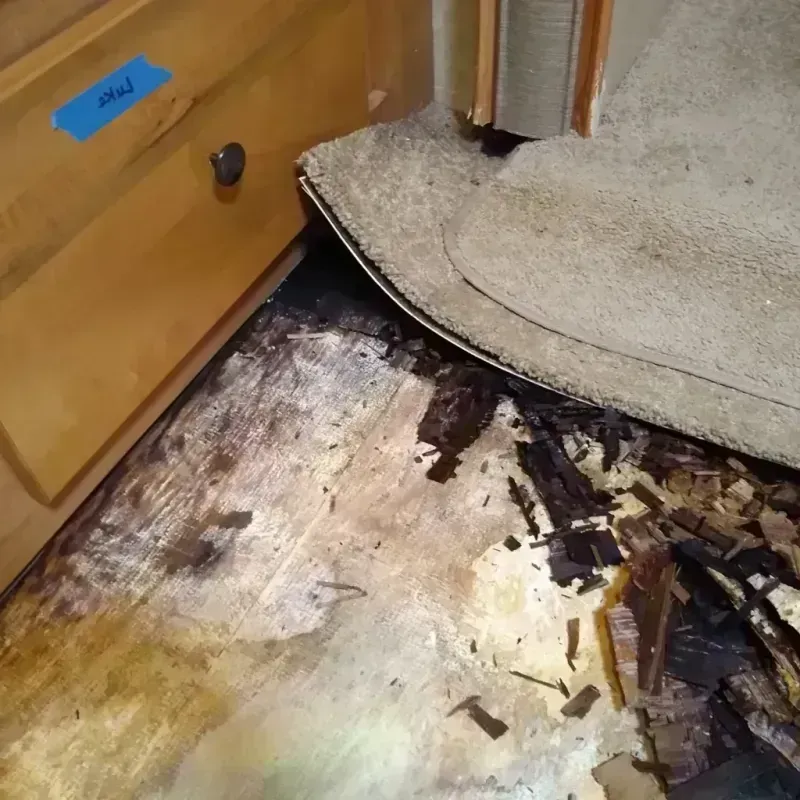 Wood Floor Water Damage in Houston, AK